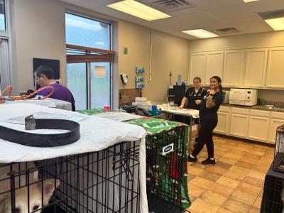 Three people in a room with large wire kennels containing dogs